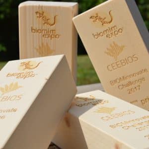 TROPHÉE PERSONNALISÉ EN BOIS (TOUR)